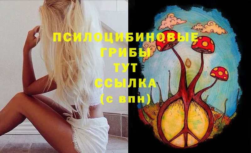 сколько стоит  МЕГА вход  Галлюциногенные грибы MAGIC MUSHROOMS  Губаха 